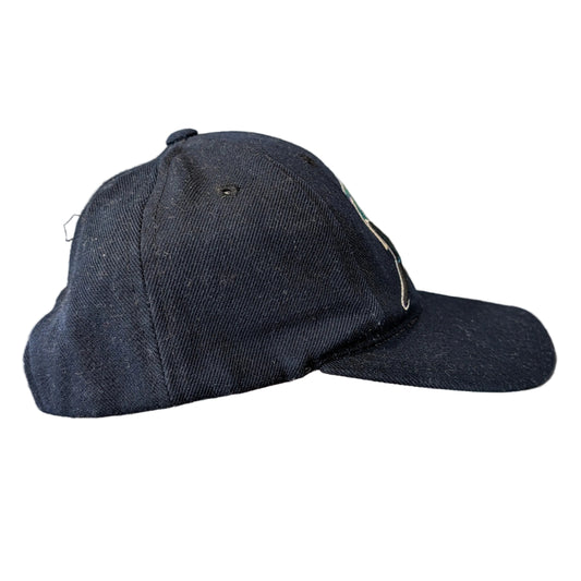 90's MLB Tampa Bay Rays Wool Snapback Hat