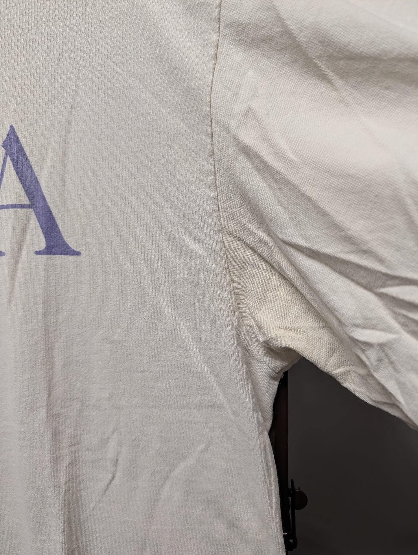 90s Amherst College Long Sleeve T shirt