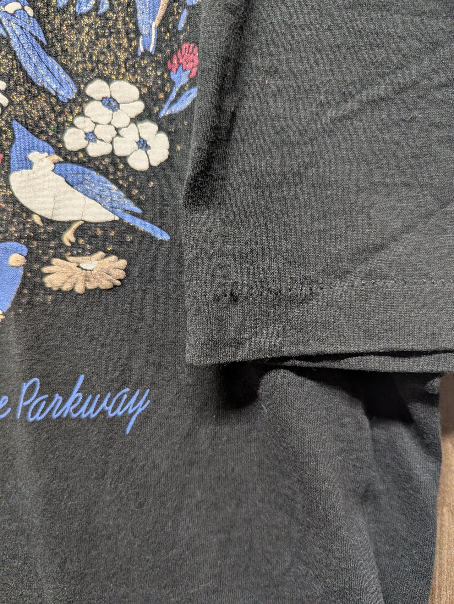90s Blue Ridge Parkway Granny Birds and Nature t shirt