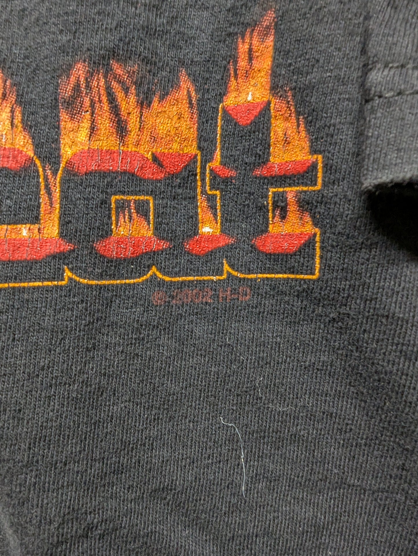 2002 Feel The Heat Big Moose Harley Davidson T shirt