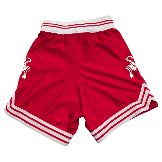 80's Russell Athletic Scorpions Boxing Shorts