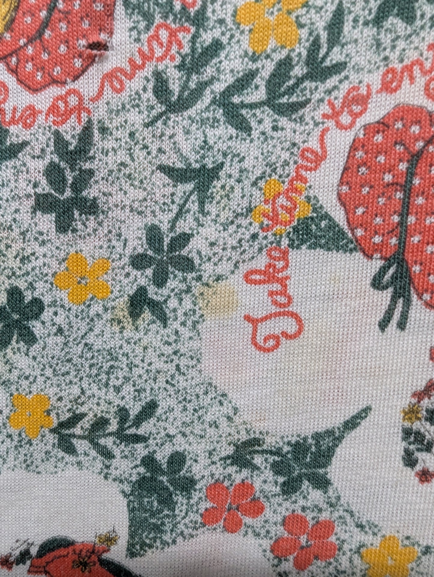 70s Petticoats & Pantaloons Holly Hobbie AOP youth T shirt