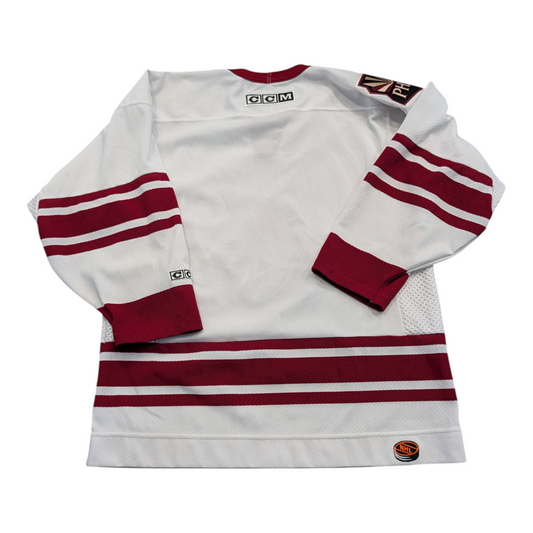 Y2K CCM Official Licensed Phoenix Coyotes NHL Jersey