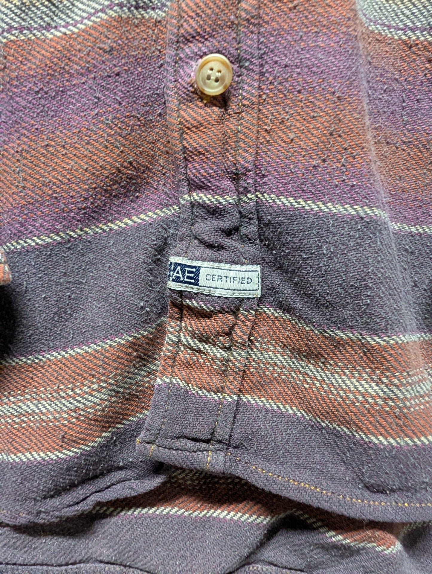90s American Eagle Striped Flannel Button Up Shirt