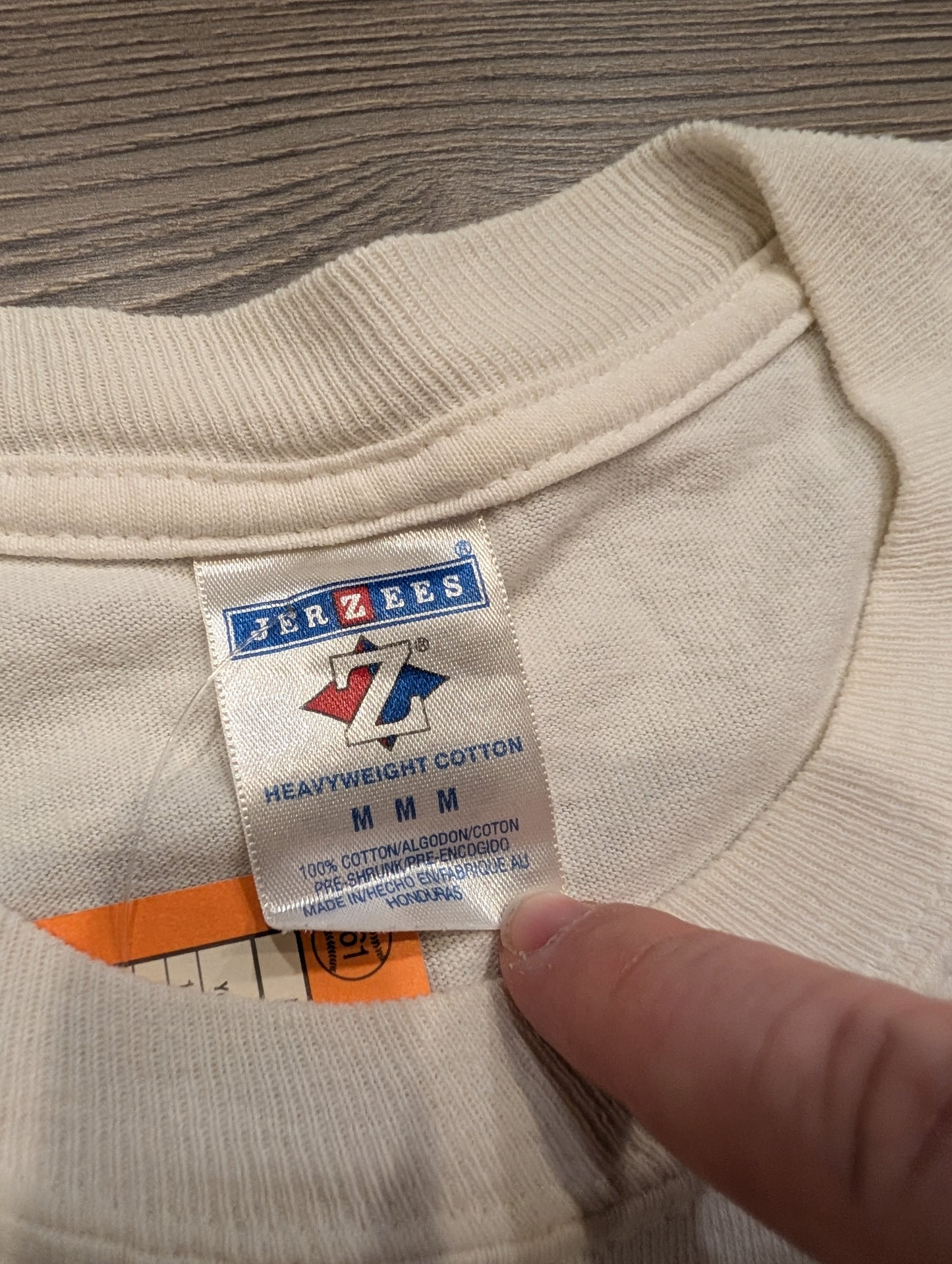 Y2K Rusted Root T shirt