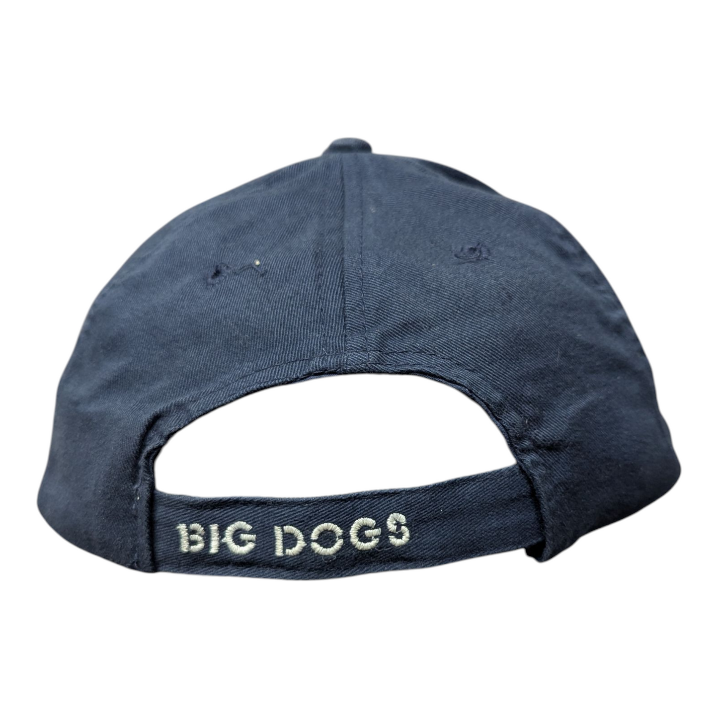 Y2K Run With The Big Dogs Dad Hat