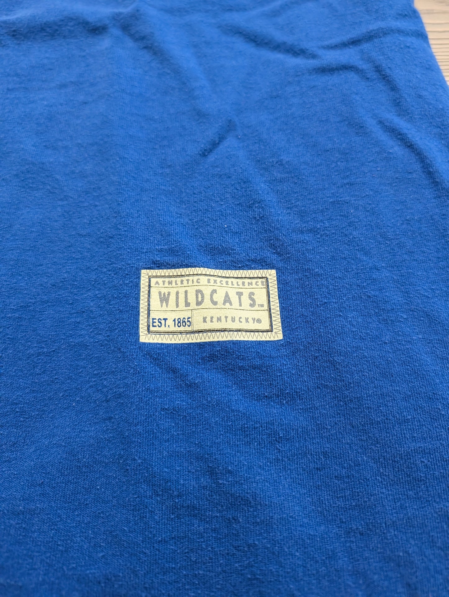 Y2K University of Kentucky Wildcats T-shirt
