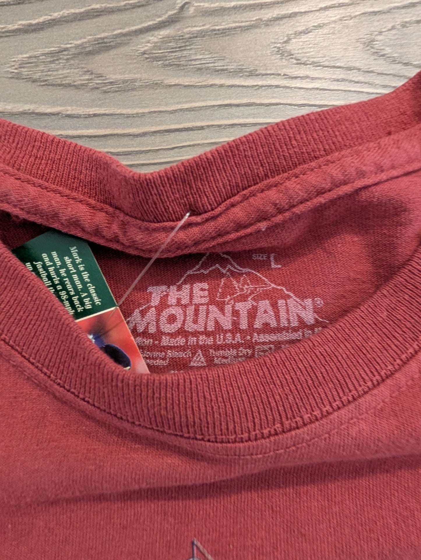 Mid 200's Grand Canyon The Mountain Test print Tee shirt