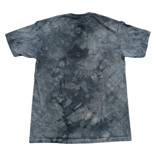 2011 American Bald Eagle Pilot The Mountain T shirt