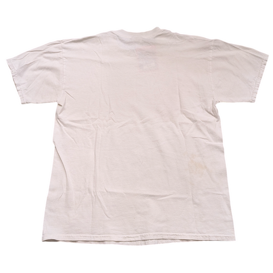 Y2K Rusted Root T shirt