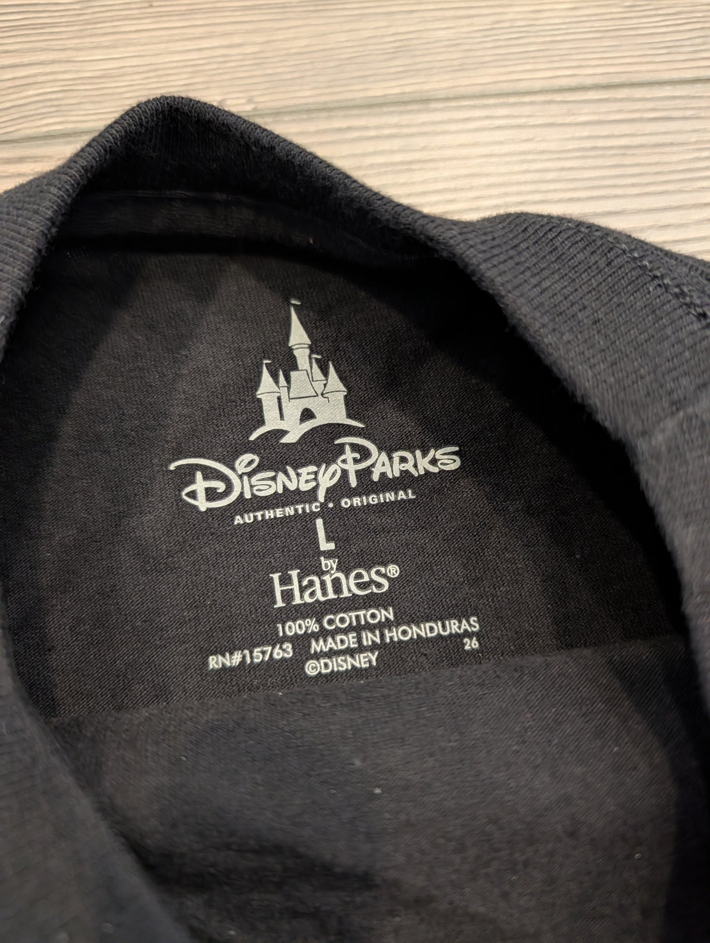 Y2K Youth Disney I Conquered Expedition Everest t shirt