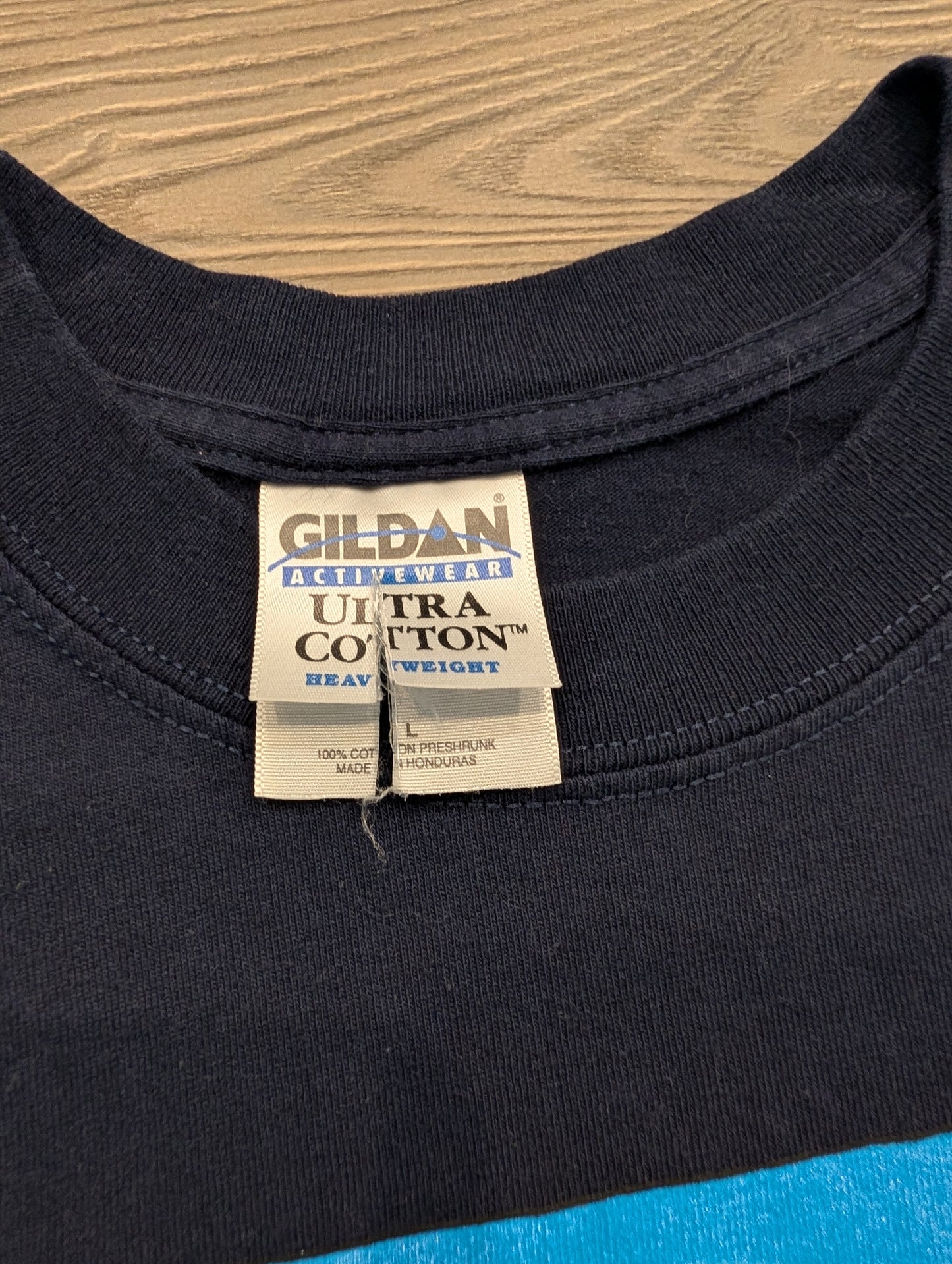 Y2K Homosassa Springs Florida T-shirt