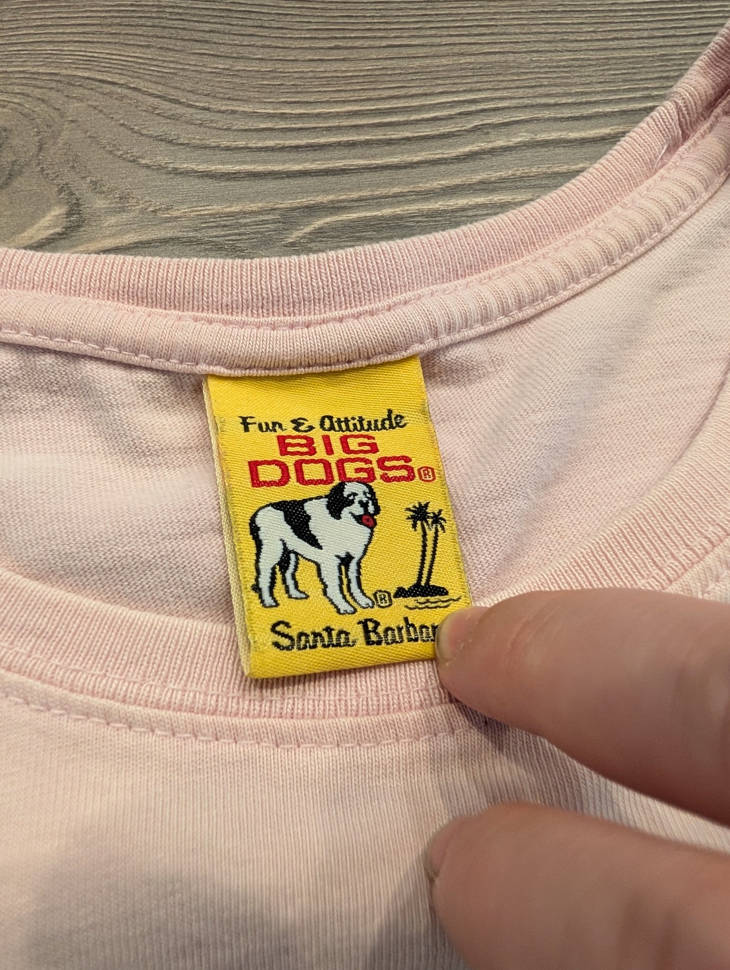 Y2K Big Dogs Girly Cropped style t shirt