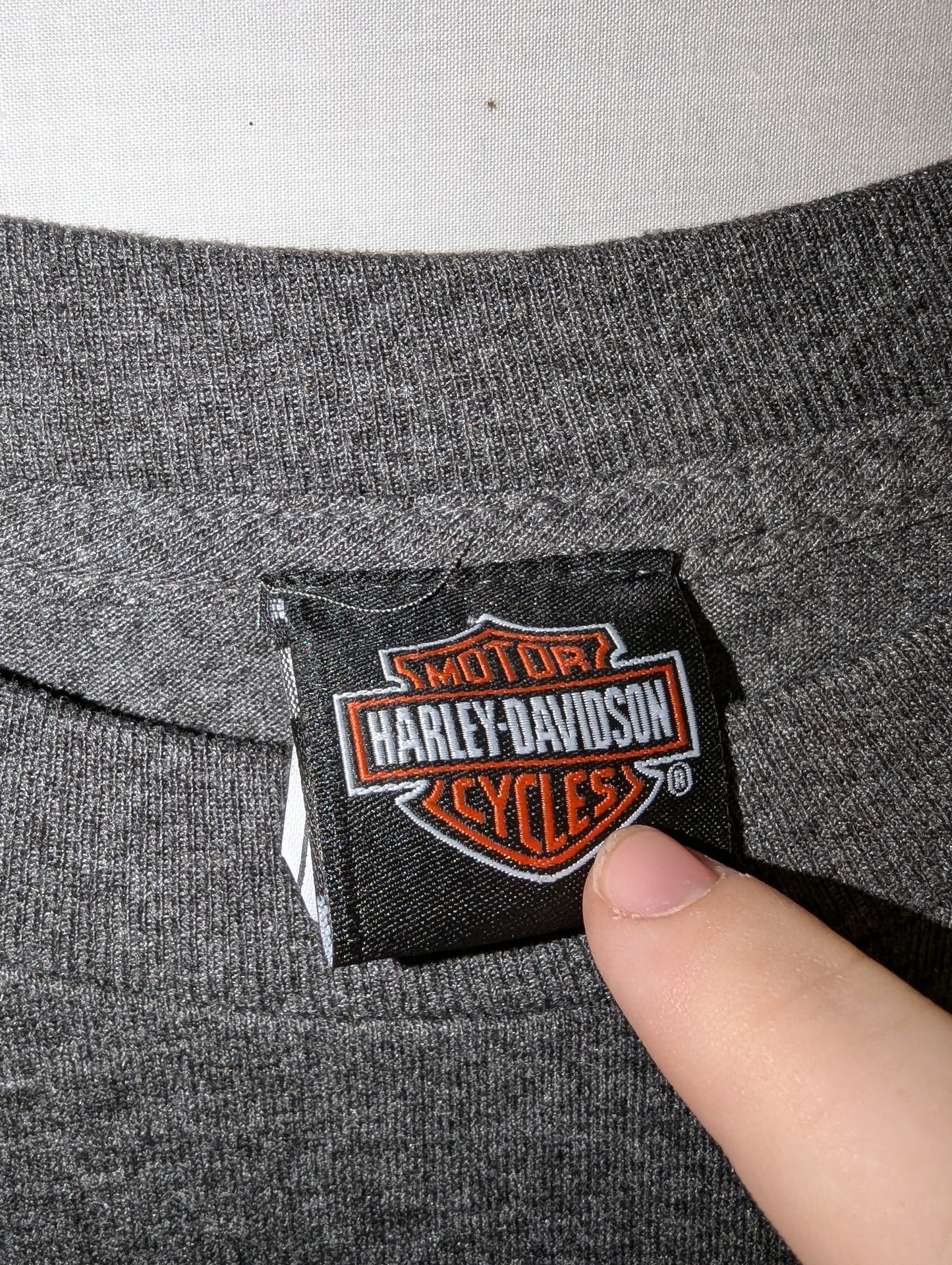 2000s Harley Davidson Mt Rainers Pocket t shirt