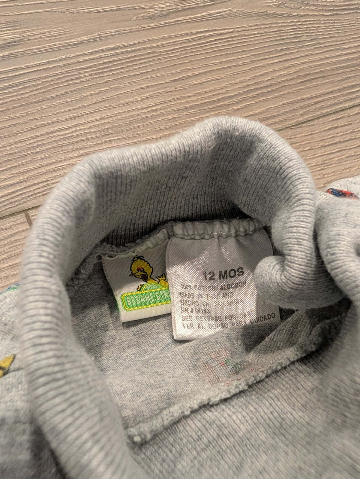 90s Youth Sesame Street Hiking Club One piece Turtleneck