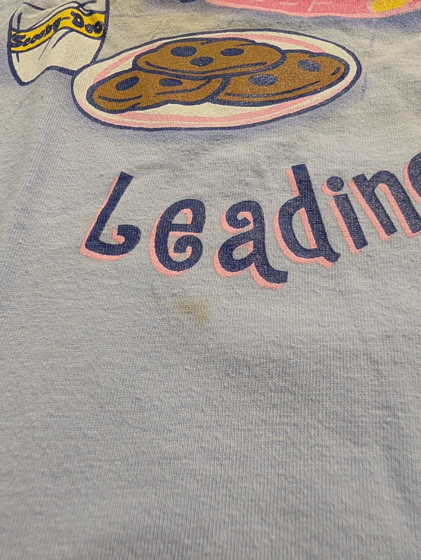 2000 Scooby-Doo Cartoon Leading a Dog's Life Night Shirt