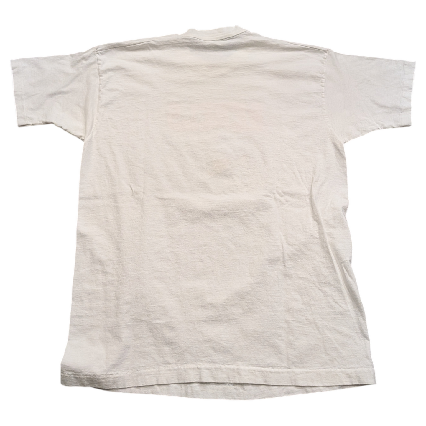 90's Charleston Rebels South Atlantic League T shirt