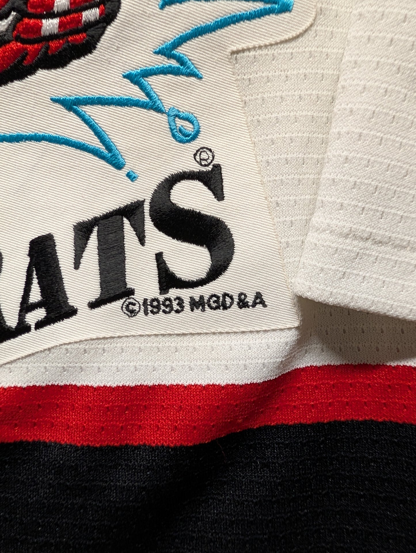 90s Albany River Rats AHL Hockey Jersey