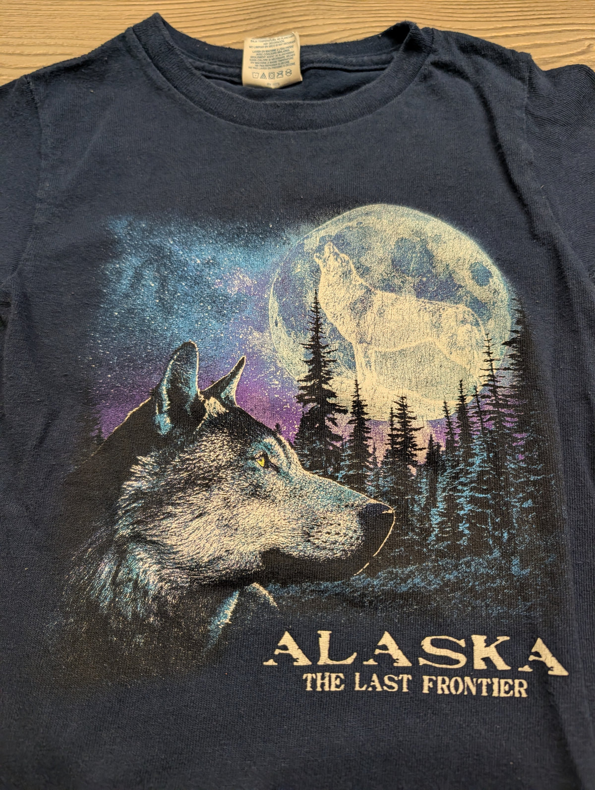 Y2K Youth Alaska the Last Frontier Short Sleeve T shirt
