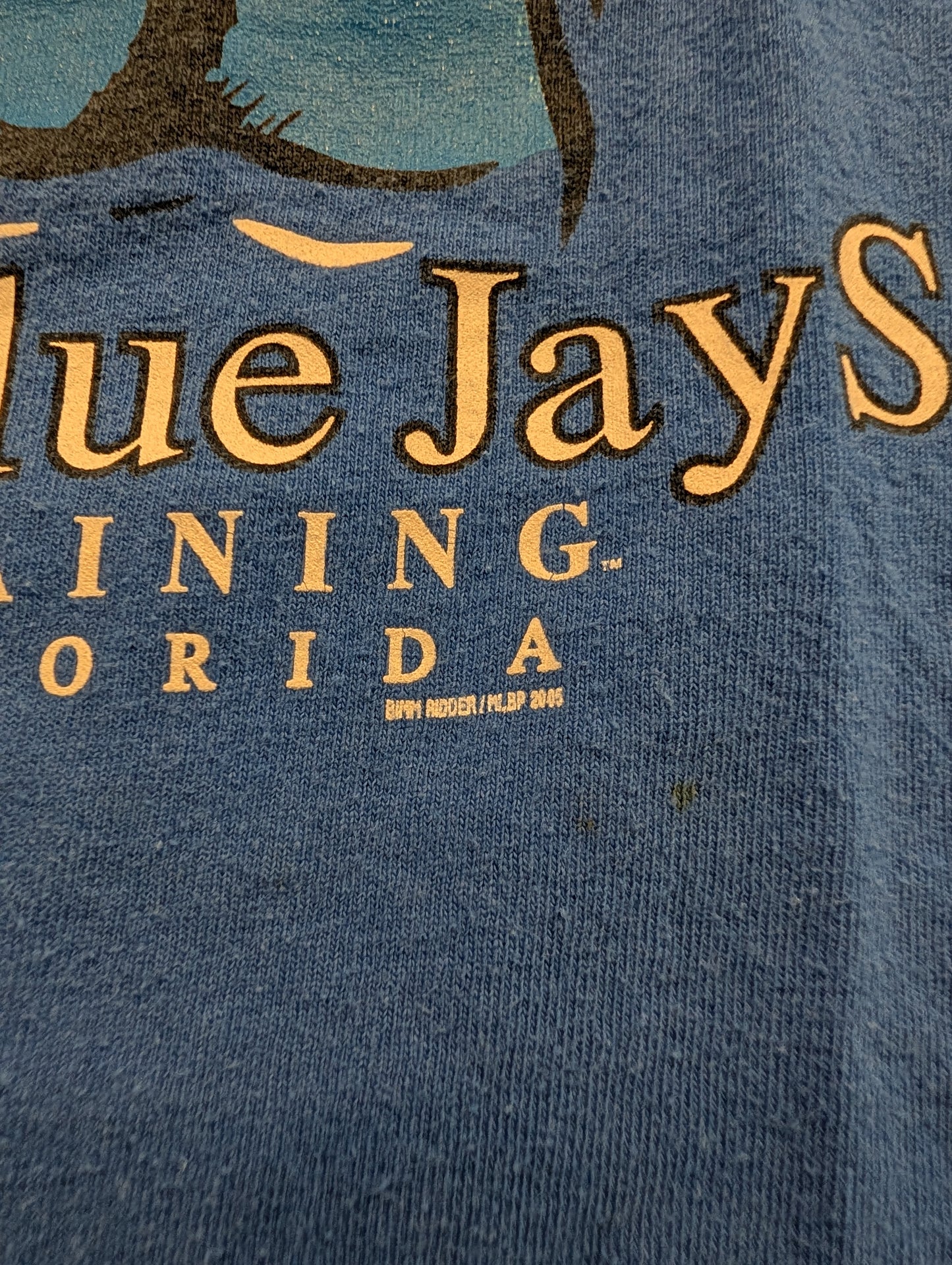 2005 Youth Toronto Blue Jays Spring Training T shirt