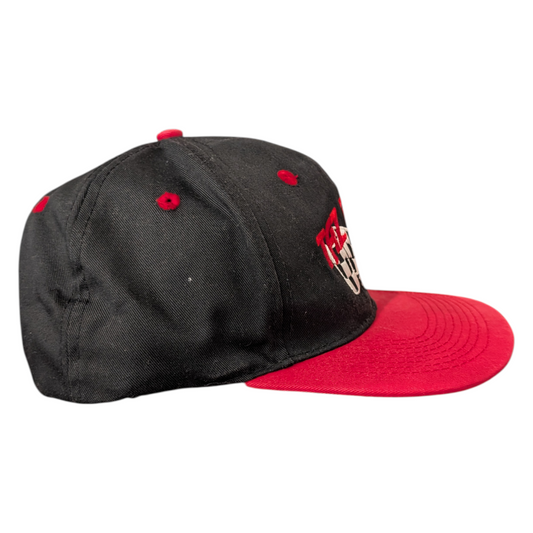 90's Taz Racing Nascar Snapback Hat