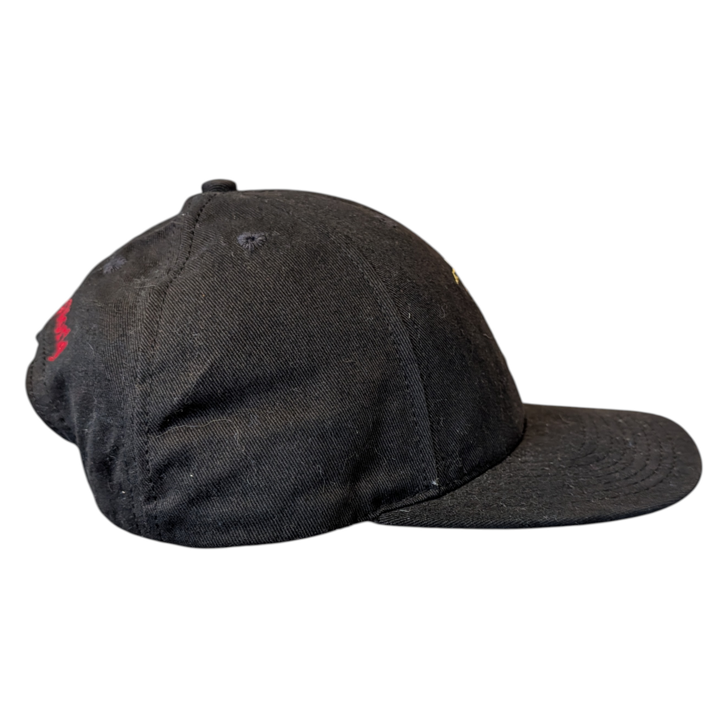 1996 25th Anniversary Walt Disney World Snapback Hat