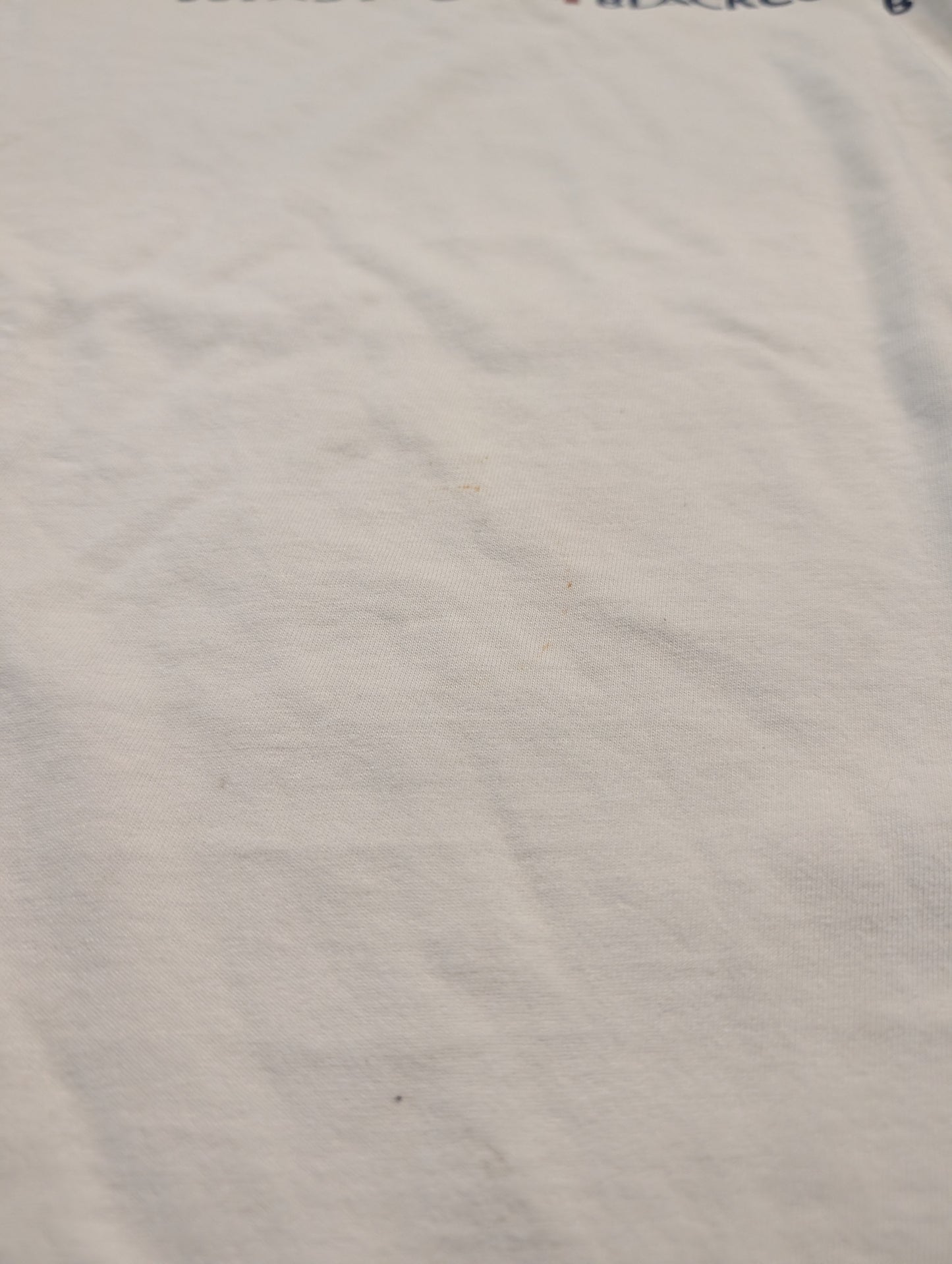 Y2K Whistler Blackcomb Ski Resort Short Sleeve T shirt