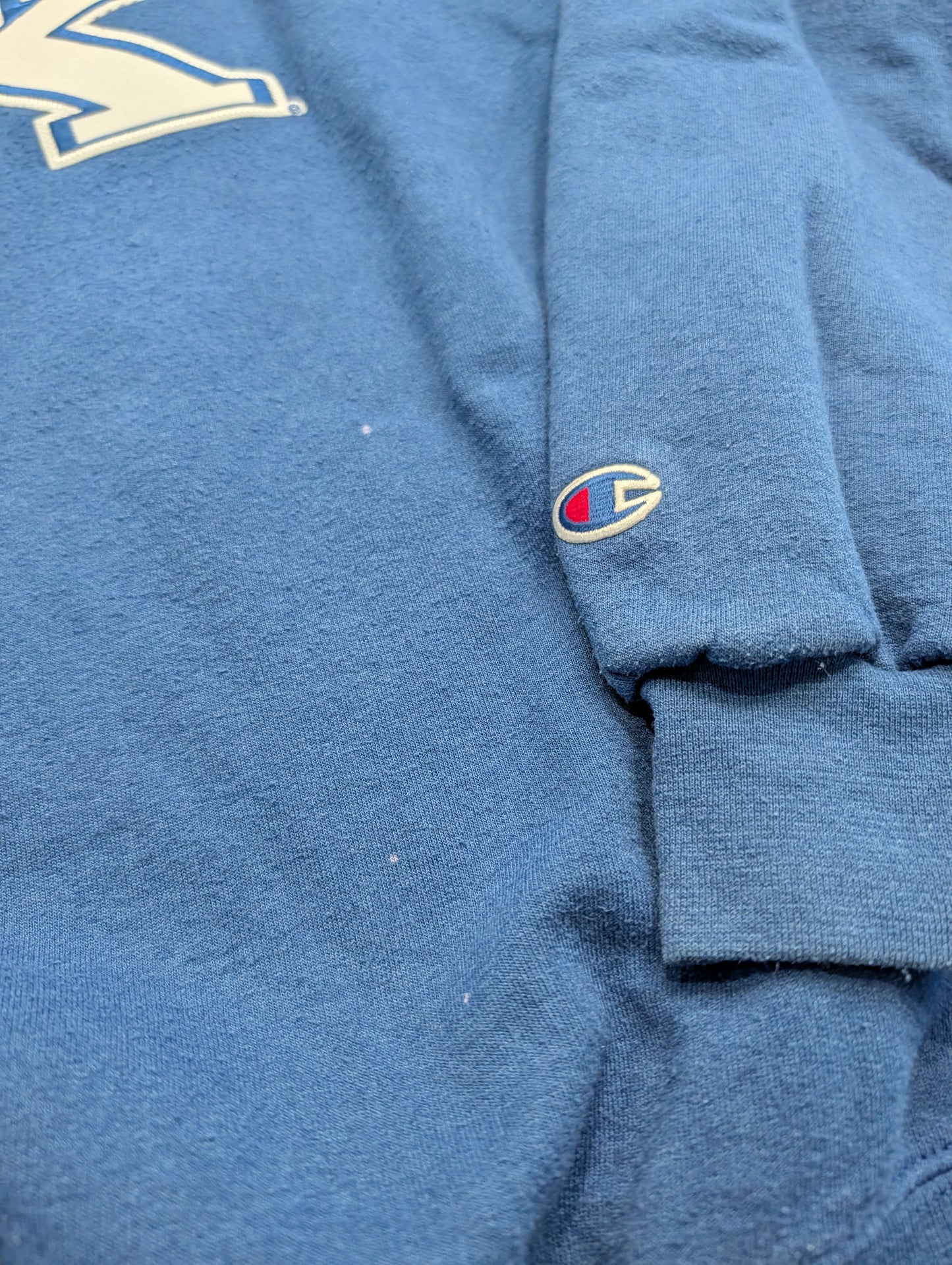 Y2K University of Kentucky Champion Crewneck Sweatshirt