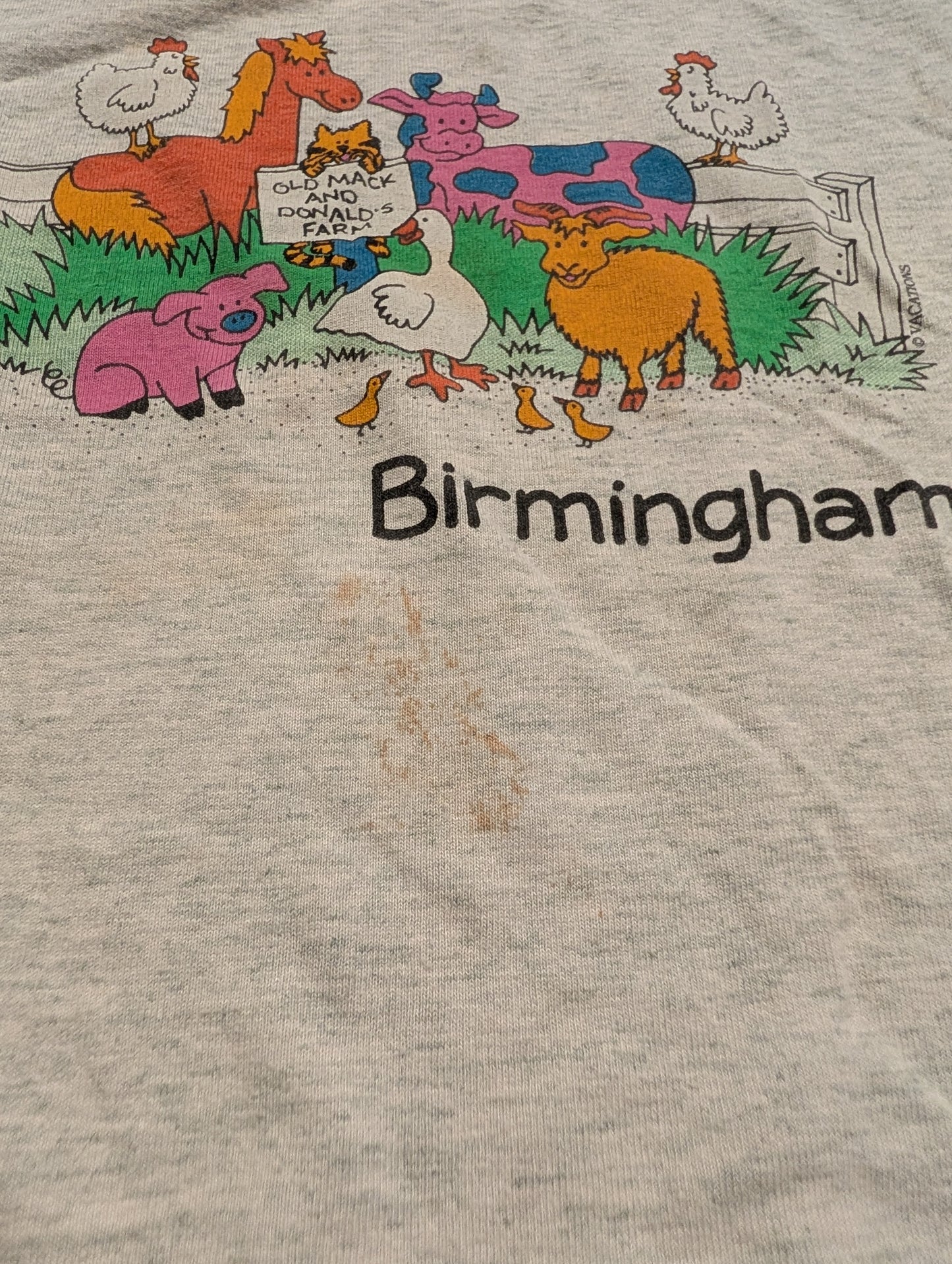 90s Youth Birmingham Farm T shirt