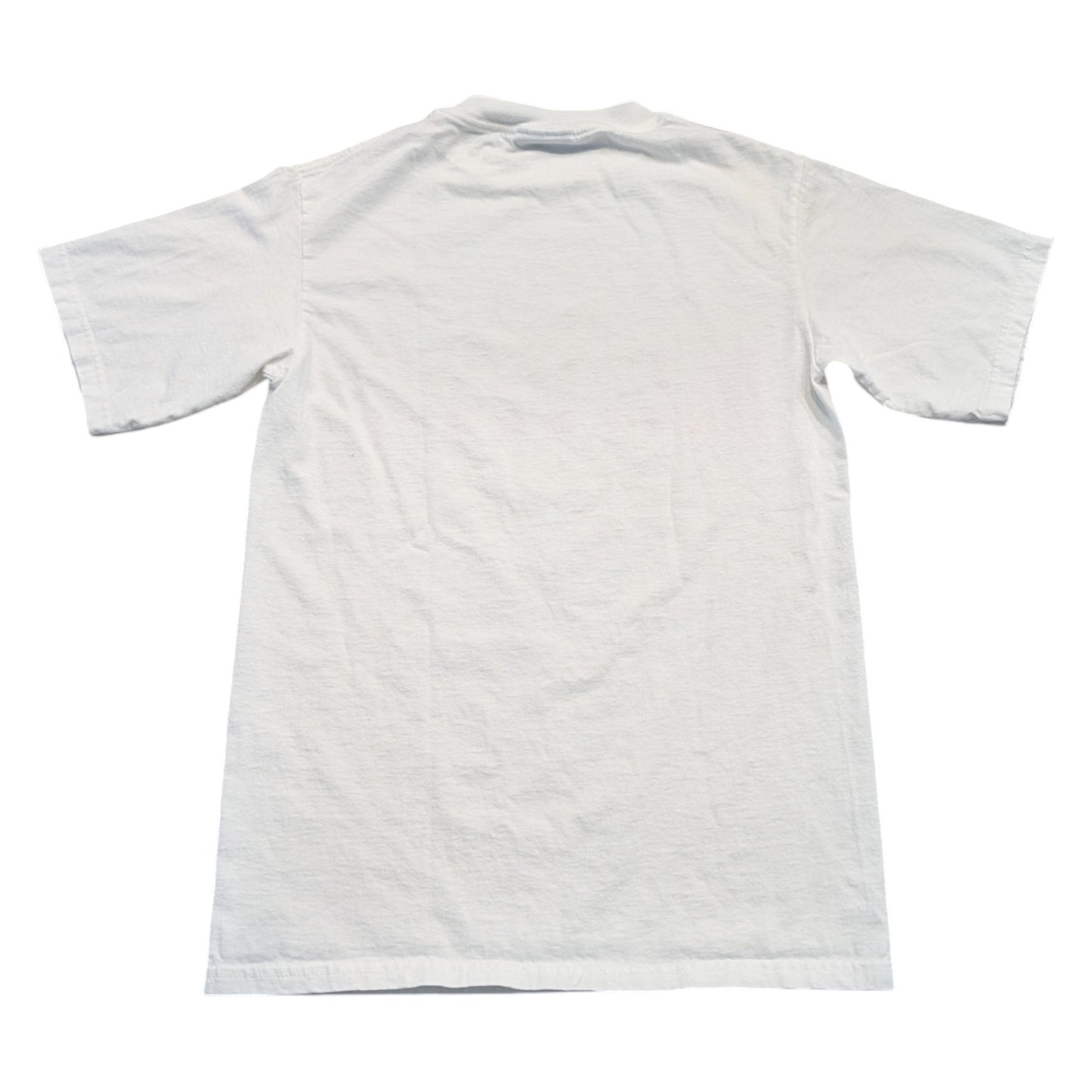 90s /Y2K Brown University Short Sleeve T shirt
