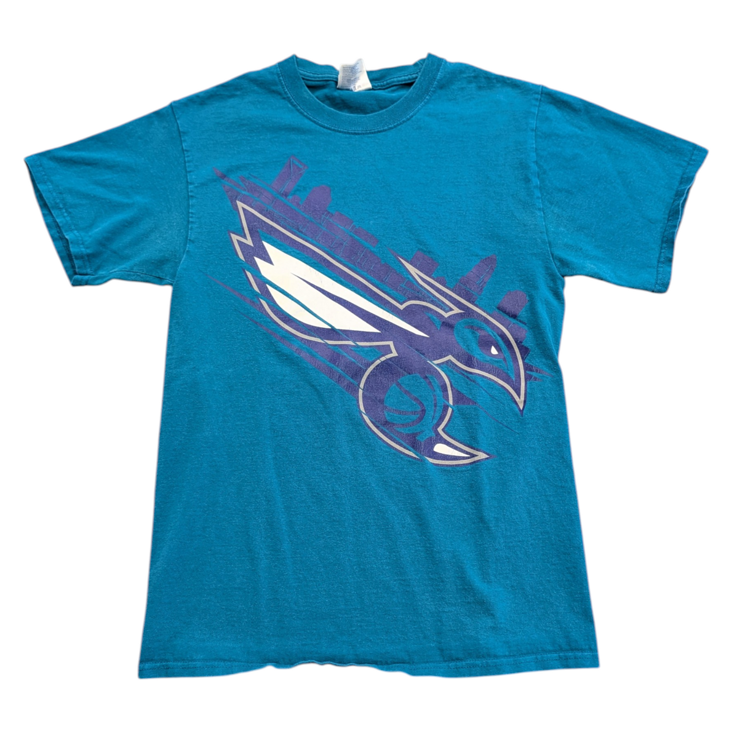 90s/Y2K NBA Charlotte Hornets Basketball Graphic Short Sleeve T shirt