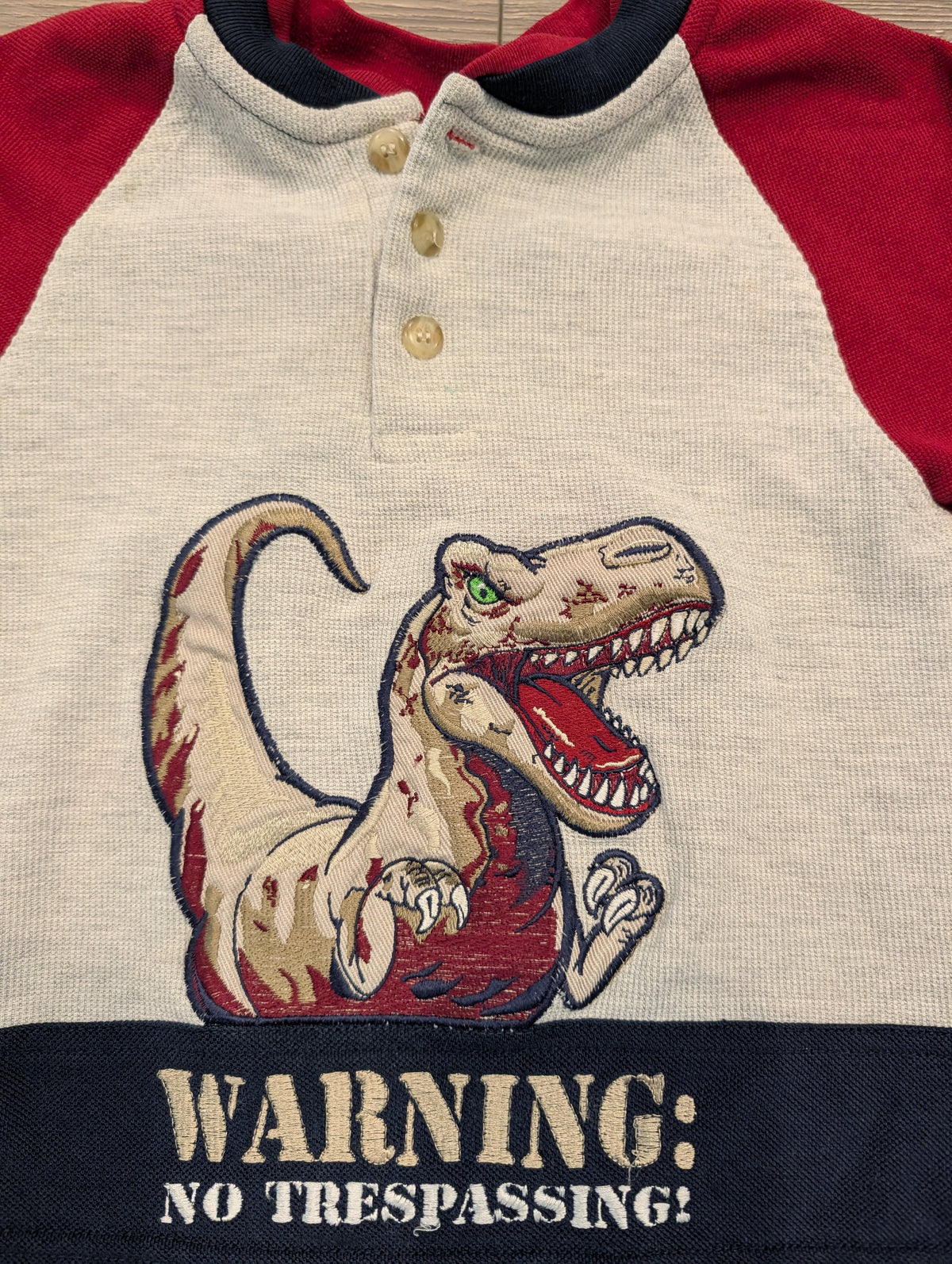 90s/Y2K Youth T Rex Dinosaur Long Sleeve Block Colored Shirt