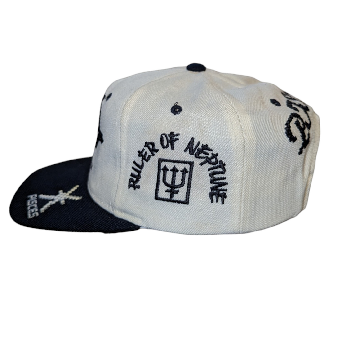 90s Pisces Astrology snapback hat