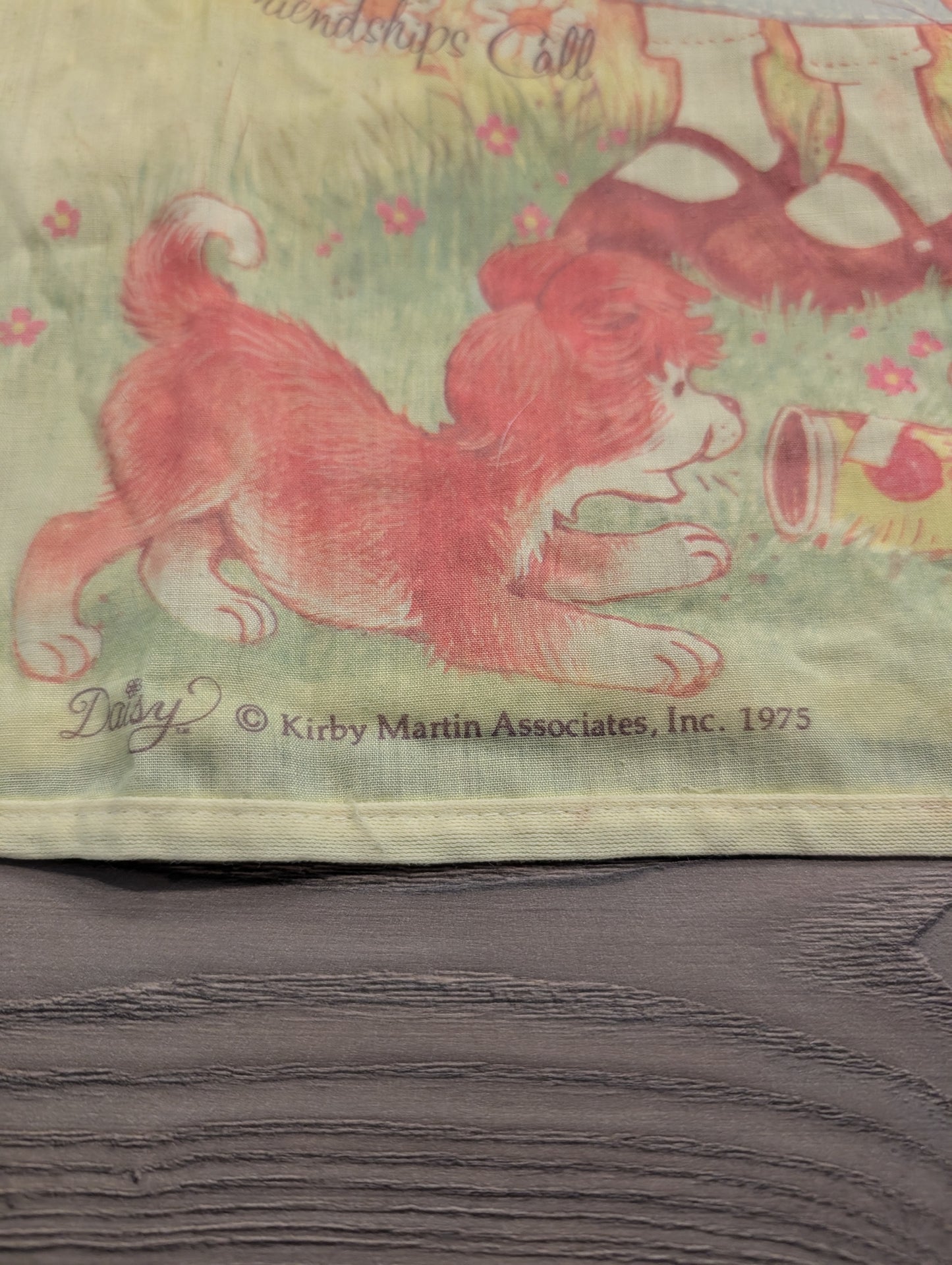 1975 Holly Hobbie's Friend Daisy Blouse