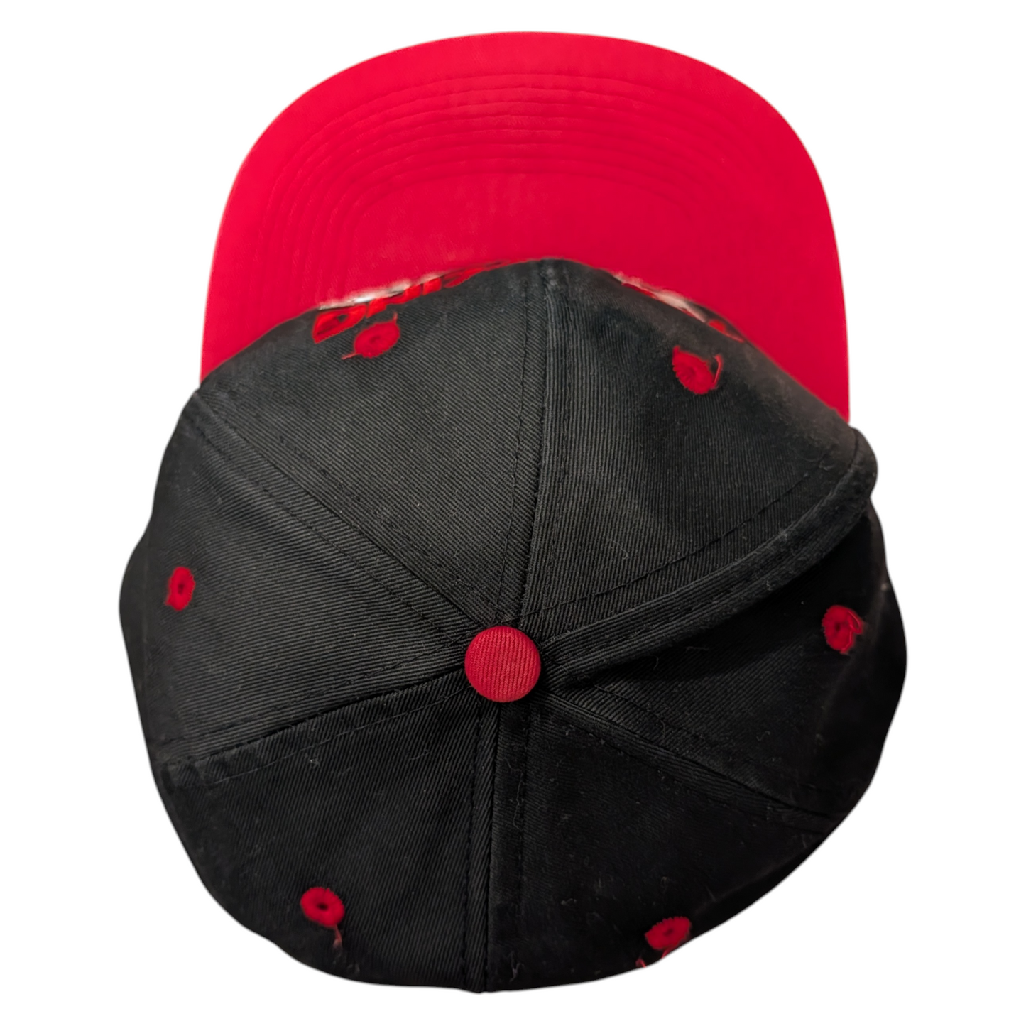 90's Taz Racing Nascar Snapback Hat