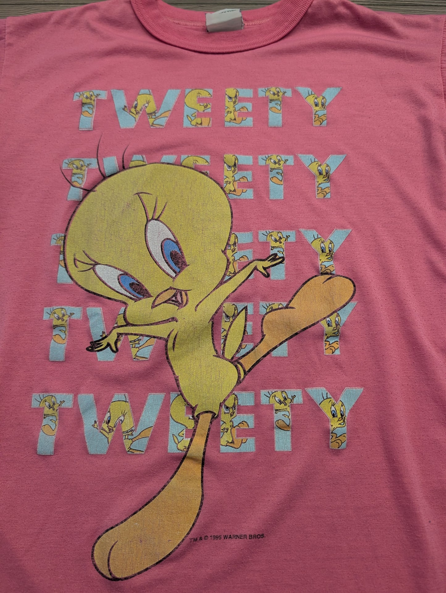 1995 Warner Brothers Tweety Bird T Shirt