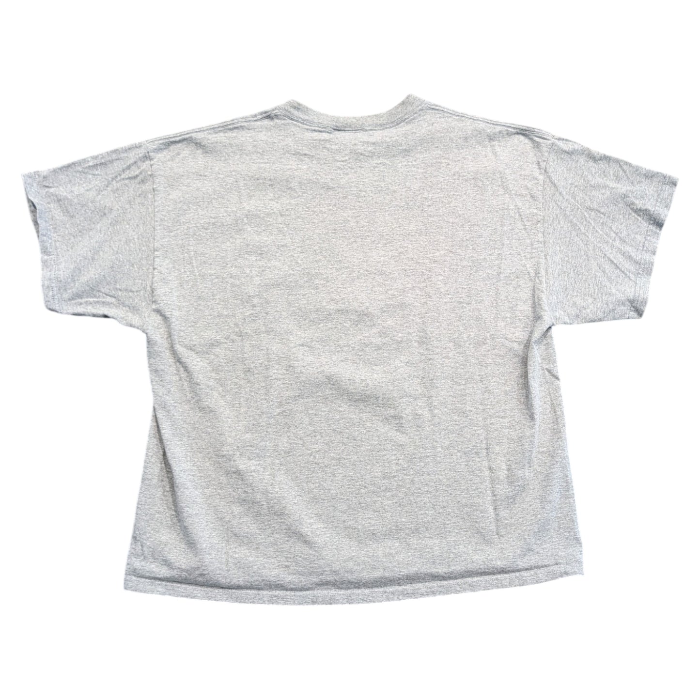 Y2K Michigan State Spartans T Shirt
