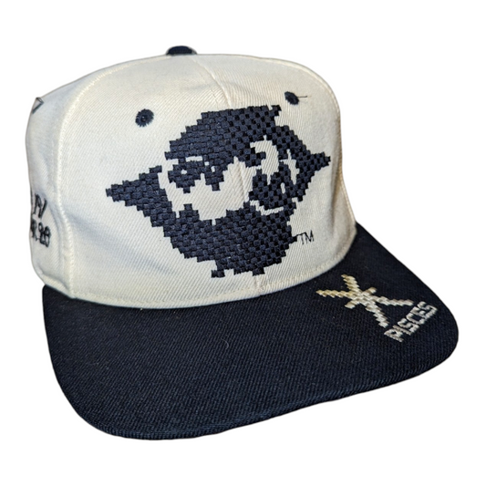 90s Pisces Astrology snapback hat