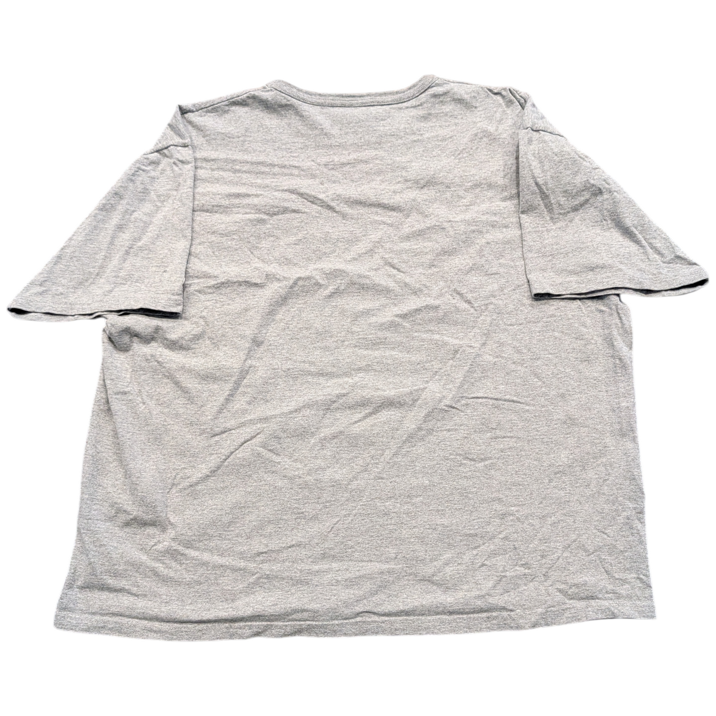 Y2K Minnesota University Champion T shirt