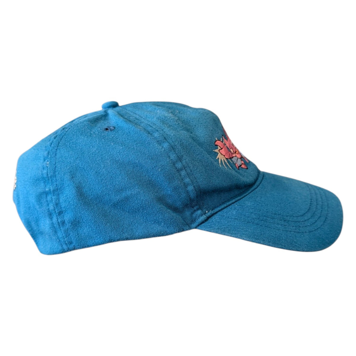 Y2K Youth Pokemon Johto Strapback Hat
