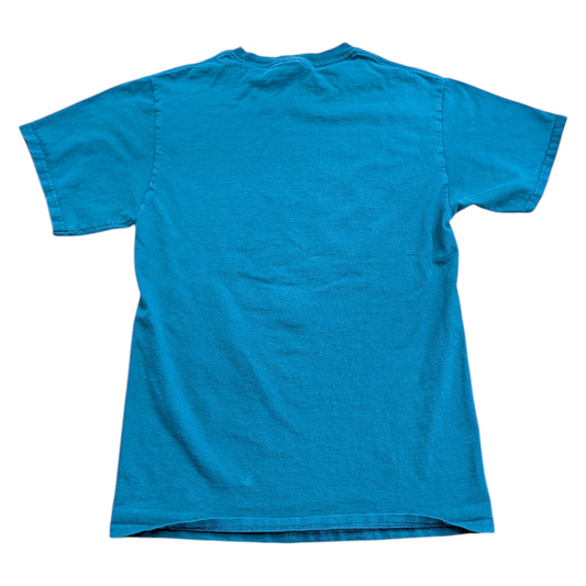 90s/Y2K NBA Charlotte Hornets Basketball Graphic Short Sleeve T shirt