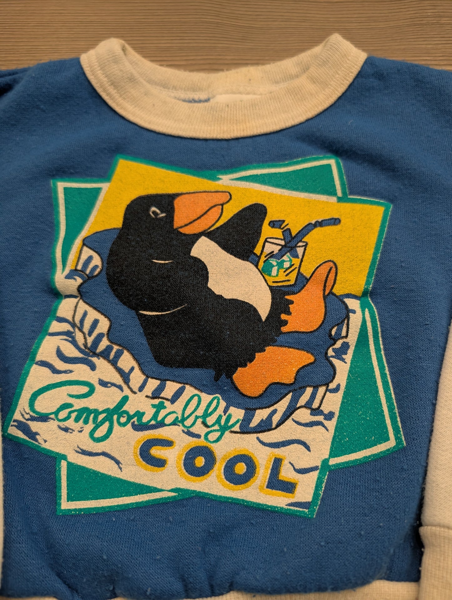 80s/90s Youth Penguin Comfortably Cool Sweatshirt