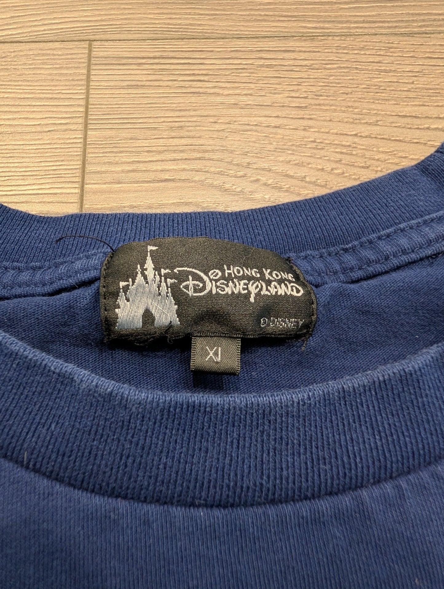 Y2K Hong Kong Disney Land Metalic Rainbow Graphic T shirt