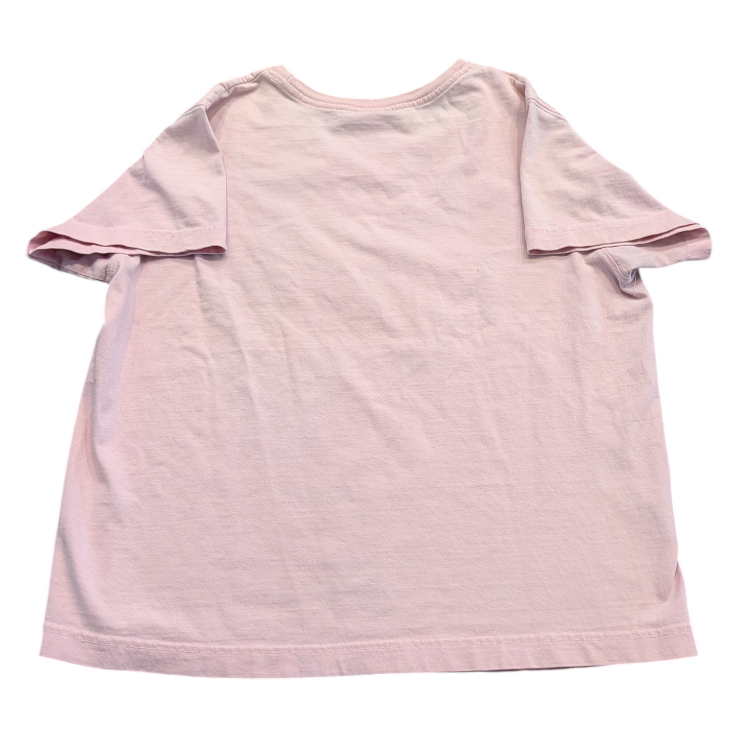Y2K Big Dogs Girly Cropped style t shirt
