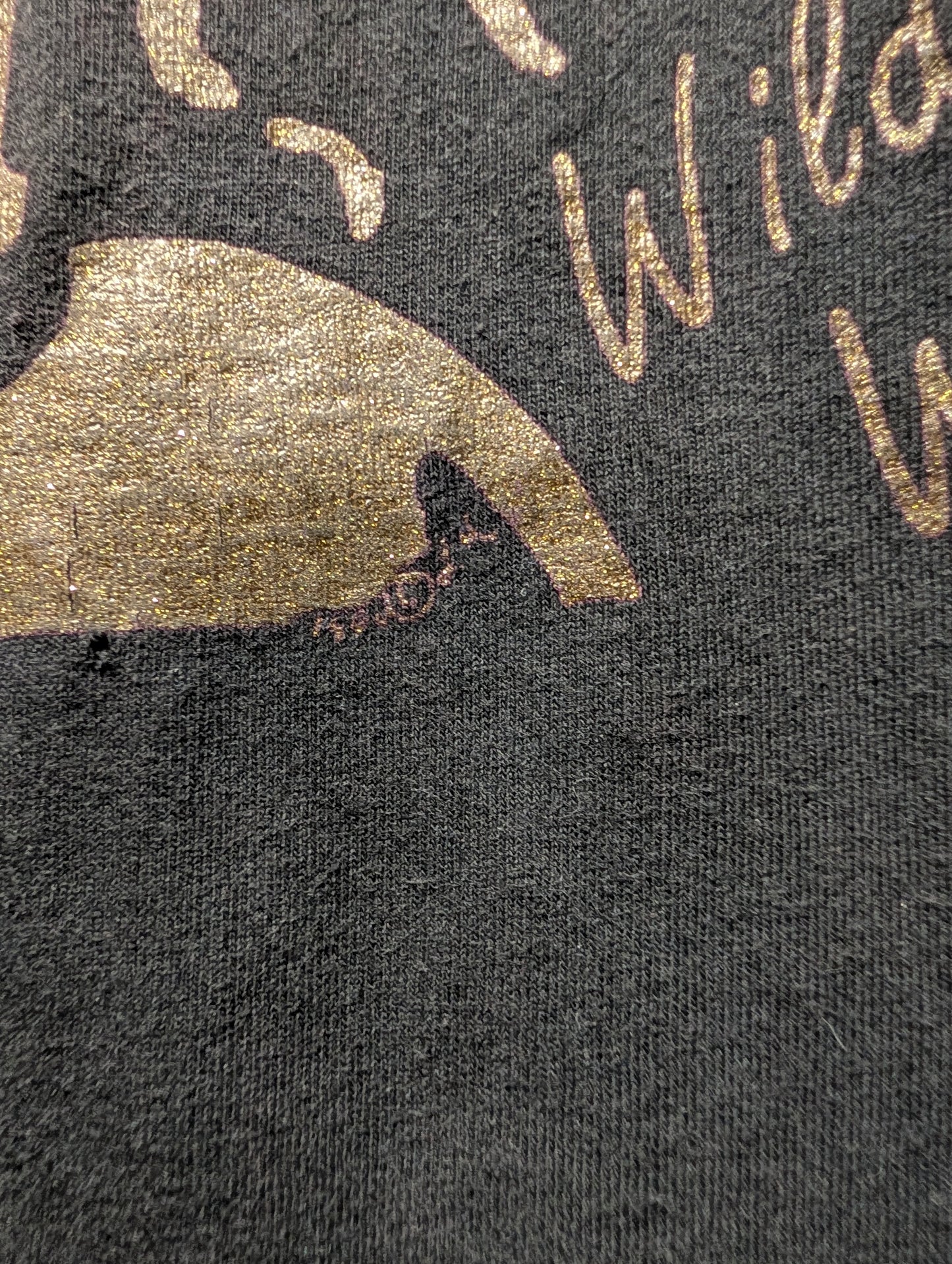 1990 Wild Woman Long Sleeve T Shirt