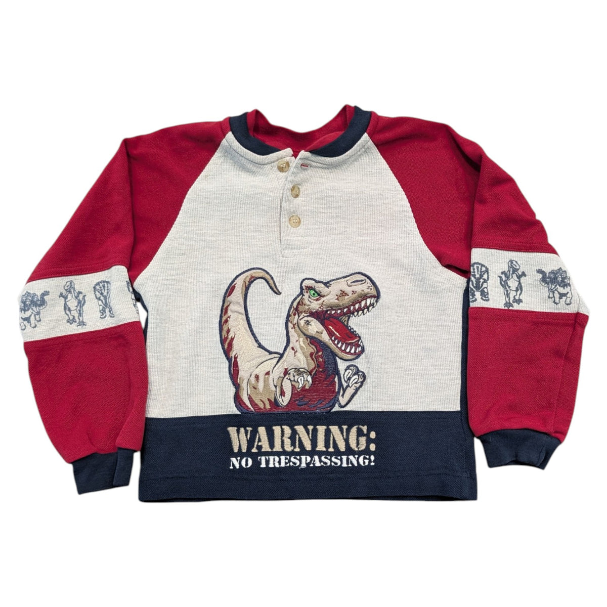 90s/Y2K Youth T Rex Dinosaur Long Sleeve Block Colored Shirt