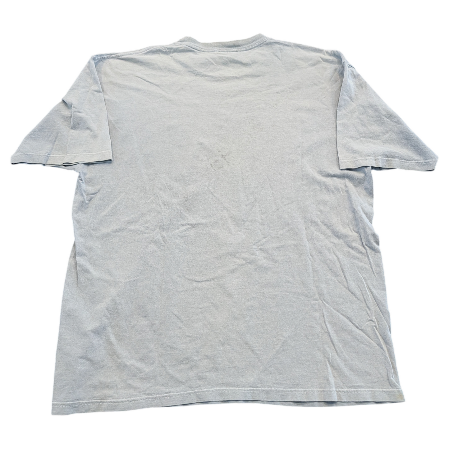90's/ Y2K American Flag with American Buffalo T shirt