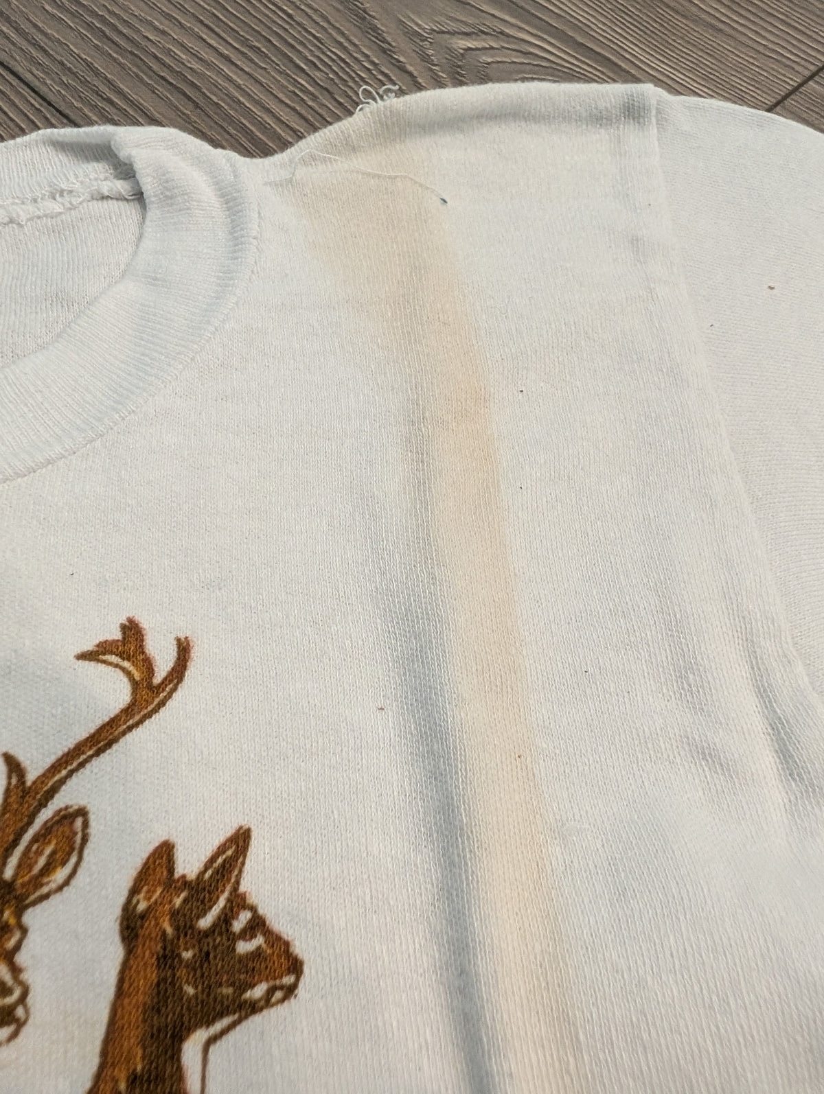 60's/70's Youth Caroga Lake NY T shirt