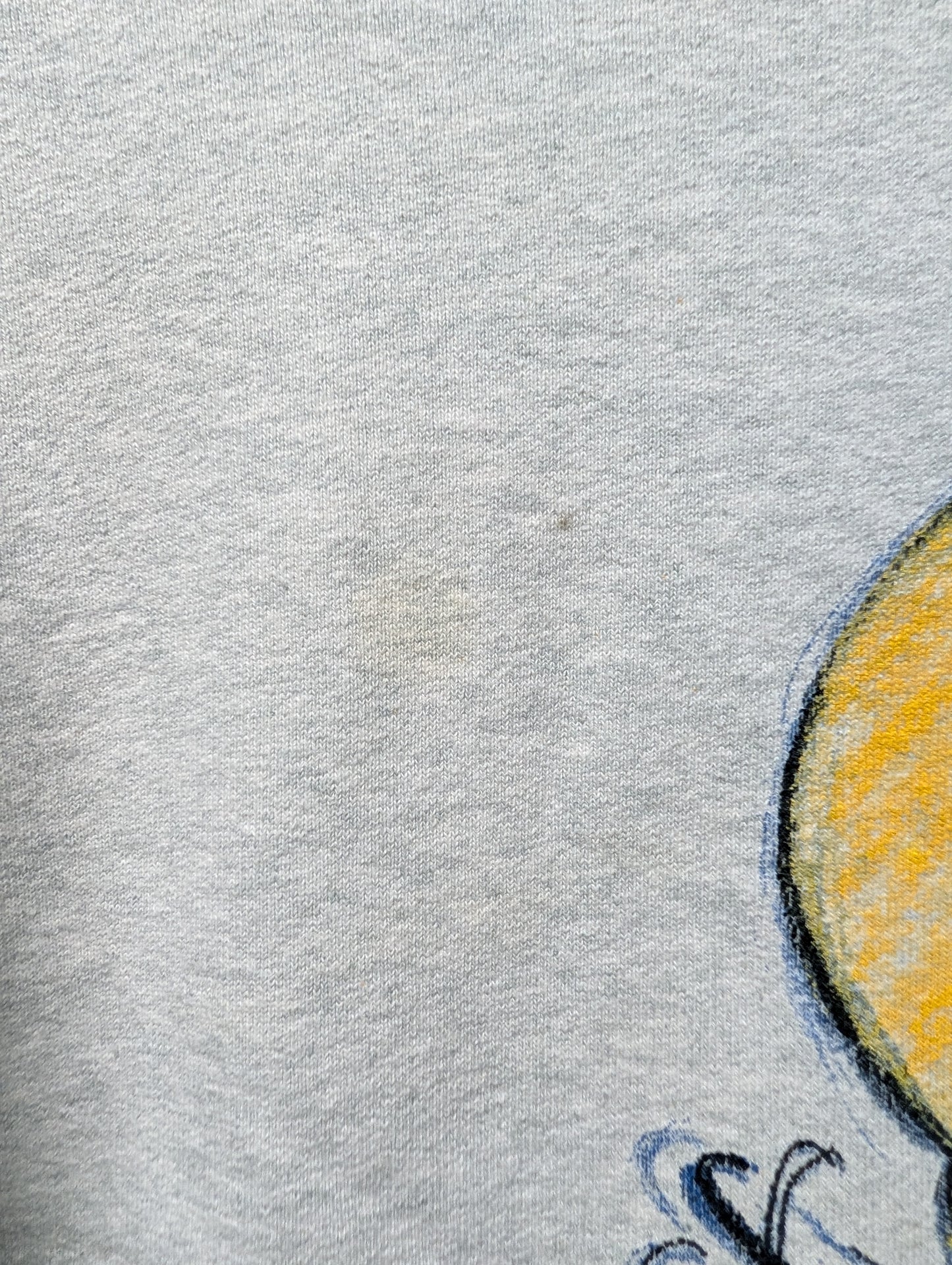 1994 Tweety Bird Looney Tunes Crewneck Sweatshirt