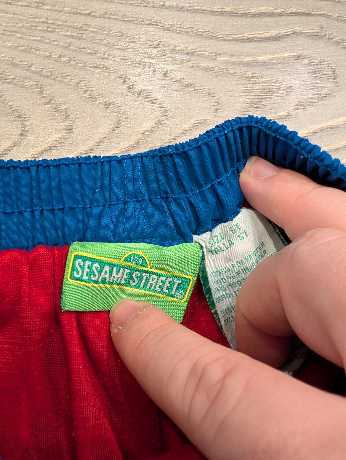 Y2K Youth Sesame Street Lined Track Pants